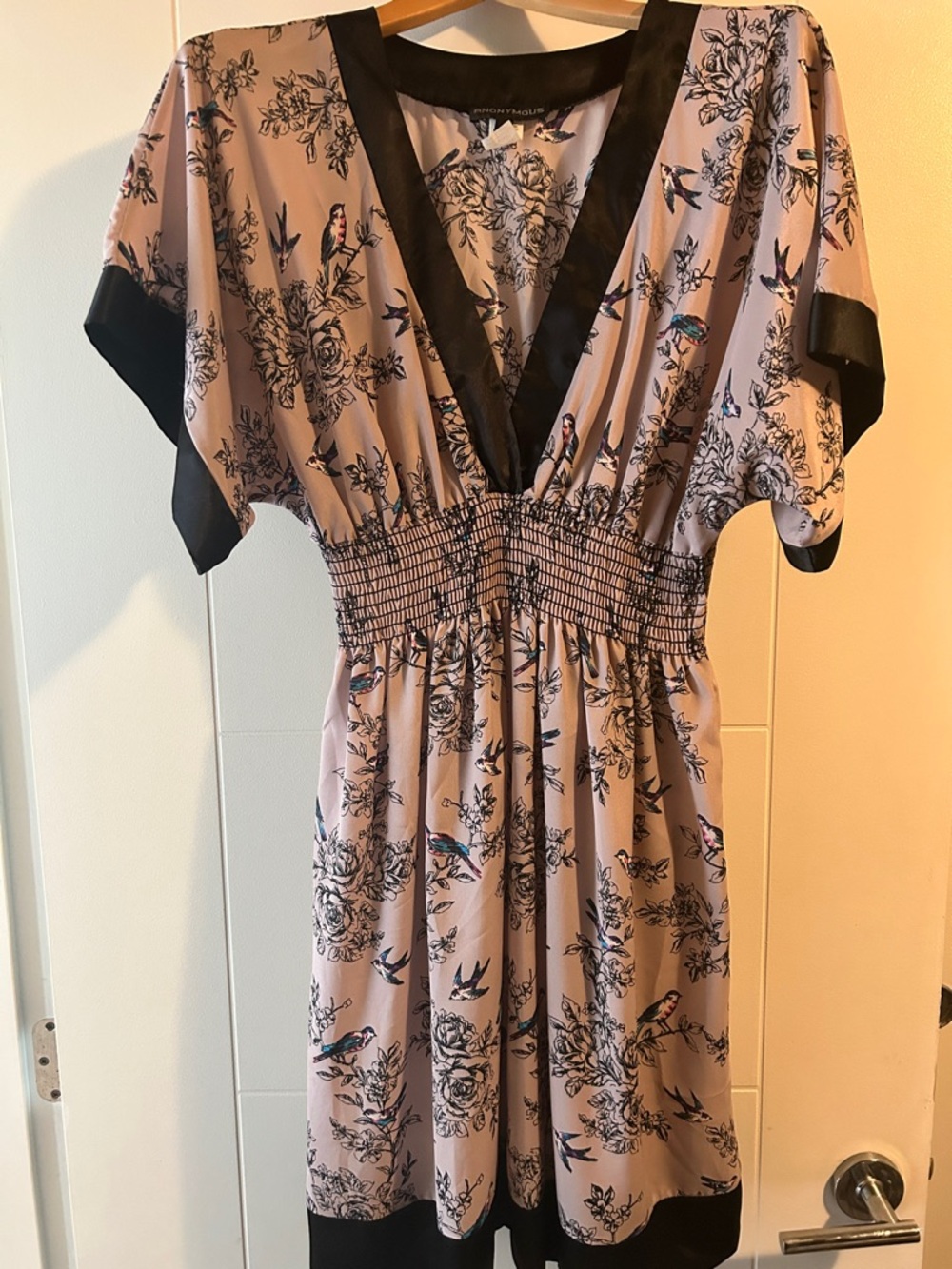 Aritzia Blush Midi Dress with Black Trim and Bird Print